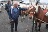 Fay-sur-Lignon : folklore et authenticité sur la foire aux chevaux