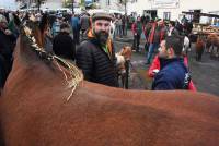 Fay-sur-Lignon : folklore et authenticité sur la foire aux chevaux