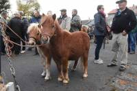 Fay-sur-Lignon : folklore et authenticité sur la foire aux chevaux