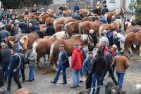 Fay-sur-Lignon : folklore et authenticité sur la foire aux chevaux