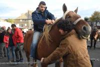 Fay-sur-Lignon : folklore et authenticité sur la foire aux chevaux