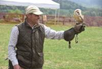 Retournac : les Rangers ont aménagé un observatoire d&#039;oiseaux à &quot;Saint-Ignac&quot;