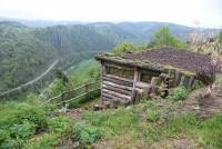 Retournac : les Rangers ont aménagé un observatoire d&#039;oiseaux à &quot;Saint-Ignac&quot;