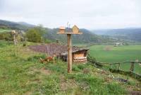 Retournac : les Rangers ont aménagé un observatoire d&#039;oiseaux à &quot;Saint-Ignac&quot;