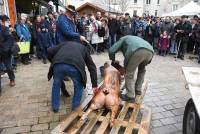 Yssingeaux : une horde de spectateurs pour la tuaille du cochon (vidéo)