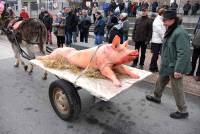 Yssingeaux : une horde de spectateurs pour la tuaille du cochon (vidéo)