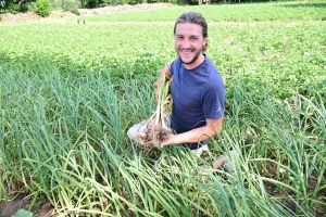 Saint-Julien-du-Pinet : ce nouveau maraîcher est spécialisé dans l&#039;ail