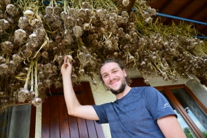 Saint-Julien-du-Pinet : ce nouveau maraîcher est spécialisé dans l&#039;ail