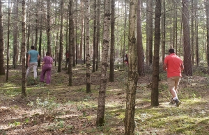 Un « bain de forêt » pour les parents dans la forêt de Vourze