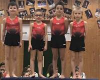 Gymnastique : 4 titres et 7 podiums pour Sainte-Sigolène