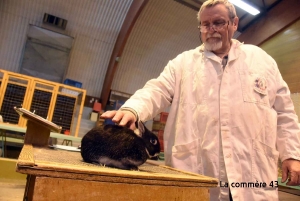 Retournac : découvrez le palmarès du concours national d&#039;aviculture