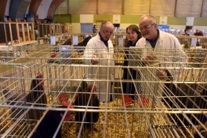 Retournac : découvrez le palmarès du concours national d&#039;aviculture