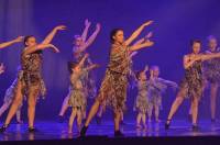 Le gala de danse d&#039;Yssingeaux en images