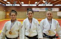 Judo : deux titres de champion départemental et deux médailles d&#039;argent pour le Haut-Lignon