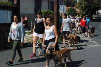 Lapte : la Fête de la chèvre a du chien