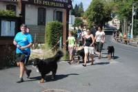 Lapte : la Fête de la chèvre a du chien