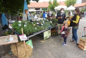 Les mains vertes se retrouvent à la Fête des plantes de Chavaniac-Lafayette