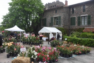 Les mains vertes se retrouvent à la Fête des plantes de Chavaniac-Lafayette