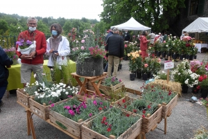 Les mains vertes se retrouvent à la Fête des plantes de Chavaniac-Lafayette