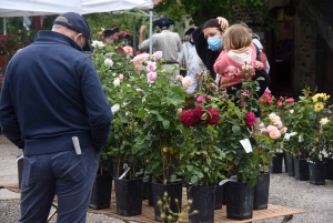 Les mains vertes se retrouvent à la Fête des plantes de Chavaniac-Lafayette