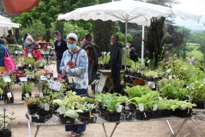 Les mains vertes se retrouvent à la Fête des plantes de Chavaniac-Lafayette