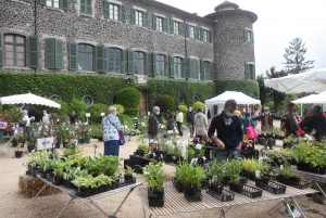 Les mains vertes se retrouvent à la Fête des plantes de Chavaniac-Lafayette