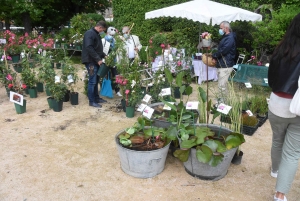 Les mains vertes se retrouvent à la Fête des plantes de Chavaniac-Lafayette