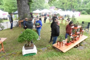 Les mains vertes se retrouvent à la Fête des plantes de Chavaniac-Lafayette