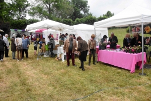 Les mains vertes se retrouvent à la Fête des plantes de Chavaniac-Lafayette