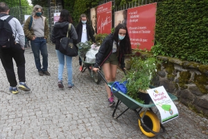 Les mains vertes se retrouvent à la Fête des plantes de Chavaniac-Lafayette