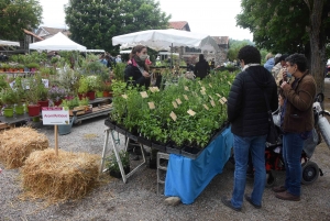 Les mains vertes se retrouvent à la Fête des plantes de Chavaniac-Lafayette