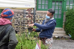 Les mains vertes se retrouvent à la Fête des plantes de Chavaniac-Lafayette