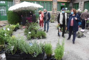 Les mains vertes se retrouvent à la Fête des plantes de Chavaniac-Lafayette