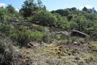 Sur le plateau, des habitations devaient prendre place.