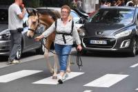 Le Chambon-sur-Lignon : une parade en ville pour lancer la Fête du cheval