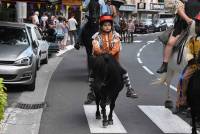 Le Chambon-sur-Lignon : une parade en ville pour lancer la Fête du cheval