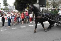 Le Chambon-sur-Lignon : une parade en ville pour lancer la Fête du cheval