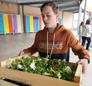 Sainte-Sigolène : ils ont vendu des fleurs pour les sinistrés des séismes en Turquie et Syrie