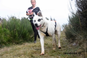 Saint-Front : les chiens de traineau font leurs courses ce week-end à &quot;Chaudeyrac&quot;