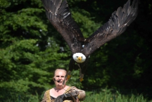 Yssingeaux : une présentation de rapaces aux jeunes du centre de loisirs