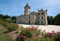 Les réceptions se dérouleront dans le parc, situé à l&#039;arrière château.