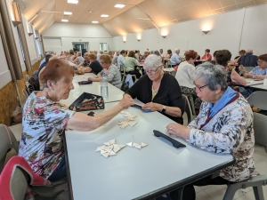 Une journée de la forme au club &quot;Bel Horizon&quot; à Saint-Pal-de-Mons