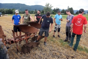 Beaulieu : les photos du concours de labour