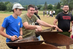 Beaulieu : les photos du concours de labour