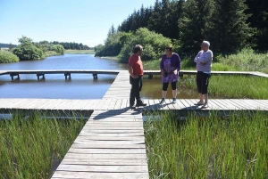 Mille façons de découvrir les amphibiens cet été à Freycenet-la-Tour