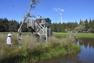 Mille façons de découvrir les amphibiens cet été à Freycenet-la-Tour