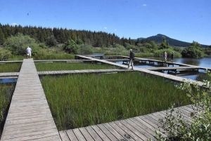 Mille façons de découvrir les amphibiens cet été à Freycenet-la-Tour