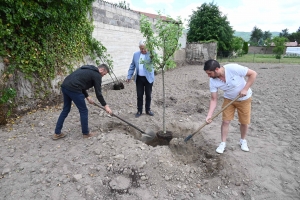 Bas-en-Basset : des arbres plantés et des cadeaux pour les bébés nés en 2021