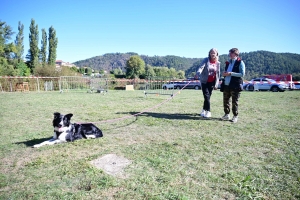 Retournac : une journée multi-activités réussie avec le club canin