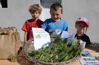 Du tilleul et un bouquet provençal cueillis au sein même de l&#039;école.